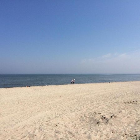 Strandgerste Schillig Exteriör bild