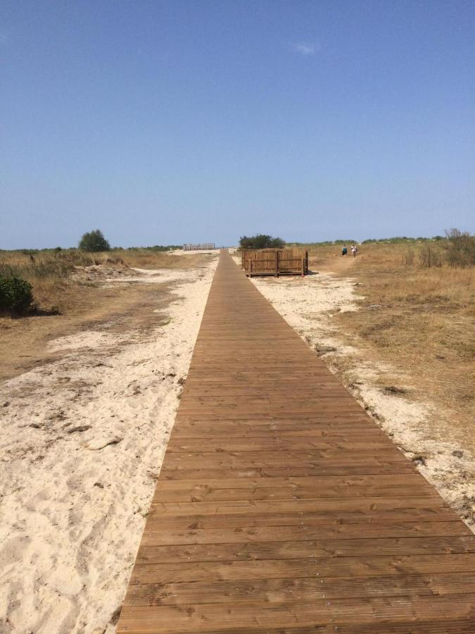 Strandgerste Schillig Exteriör bild